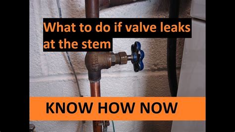 air leaking around valve stem|How To Fix A Leaking Valve Stem。